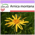 Produktbild: SAFLAX - Heilpflanzen - Echte Arnica - 40 Samen - Arnica montana