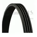 Produktbild: Continental Ctam 4PK735 Keilrippenriemen für Renault Ford Jaguar Daewoo Rover