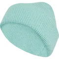 Produktbild: adidas Terrex Terrex Multi Beanie semi flash aqua (AEXY) Adult (M/L)