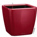 Produktbild: Lechuza Übertopf QUADRO LS 35, rot hochglanz, 36 x 33 x 36 cm, aus Kunststoff, für innen und außen, Wasserspeicher und Innentopf