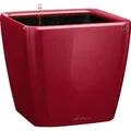 Produktbild: Lechuza® Pflanzgefäß Quadro Premium LS 35 cm x 35 cm x 33 cm Scarlet Rot