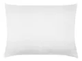 Produktbild: ZOLLNER Kopfkissen, Füllung: 100% Polyester, Seitenschläfer, Rückenschläfer, Bauchschläfer, 50 x 80 cm, 100% Polyester, vom Hotelwäschespezialisten