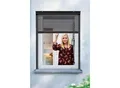 Produktbild: Schellenberg Insektenschutzrollo für Fenster, 160 x 160 cm, anthrazit