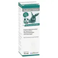 Produktbild: Rodicare Immun Flü.f.kanin./kleinnager/m 15 ml