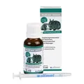 Produktbild: Alfavet RodiCare® IMMUN 15ml für Meerschweinchen & Kleinnager (1311,95 EUR/l)