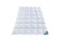 Produktbild: Haeussling Daunenbettdecke Häussling Daunendecke Hjemme hygge 135x200 cm, Kassettenbett extra, Füllung: 90% Daunen, 10% Federn, Bezug: 100% Baumwolle