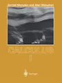 Produktbild: Calculus I (Undergraduate Texts in Mathematics)