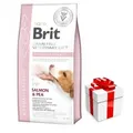 Produktbild: Brit GF Tiernahrung Hund Hypoallergen 12 kg + Überraschung für den Hund