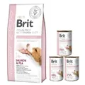Produktbild: Brit GF Tiernahrung Hund Hypoallergen 12 kg + BRIT GF Veterinary Diets Dog Hypoallergenic 3x400g