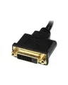 Produktbild: StarTech.com 8in HDMI to DVI-D Video Cable Adapter DVI M/F Videoanschluß / M bis W 20,32 cm abgeschirmt Schwarz (HDDVIMF8IN)