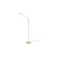Produktbild: Fischer-Honsel LED-Stehleuchte  1-flammig  messing matt   , gold , Maße (cm): B: 23 H: 160