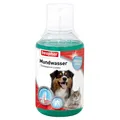 Produktbild: Beaphar Mundwasser für Hunde & Katzen 250 ml + 1 Snack