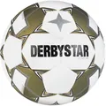 Produktbild: Derbystar Brillant APS v24