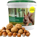 Produktbild: Orni Artgerechter Nüsse Mix für Eichhörnchenfutter 1kg | Futter für Eichhörnchen mit Haselnüsse, Walnüsse mit Schale für Eichhörnchen | Ganzjähriges Eichhörnchenfutter