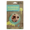 Produktbild: Haba Terra Kids Suprise yourself! (Deutsch, Englisch) (2013842001)