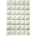 Produktbild: Billerbeck Greta Mono Daunendecke - 200x200cm