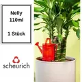 Produktbild: Scheurich - Bewässerungssystem Nelly 1x Rot 110 Ml Vol. Wasserspender Wasserspender Nelly 110 Ml
