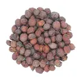 Produktbild: 1000Kräuter Weißdornbeeren ganz Weißdornfrüchte Weißdornbeerentee Crataegi Fructus (500g)