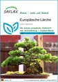 Produktbild: SAFLAX  - B - Europäische Lärche - Larix - 75 Samen