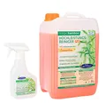 Produktbild: AQUA CLEAN Magic Bamboo Hochleistungsreiniger 5l Hochkonzentrat (Sommerbrise)