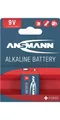 Produktbild: ANSMANN Batterie 9 V 6LP3146-E Block 550 mAh 6LP3146 4922