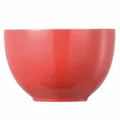 Produktbild: Thomas Sunny Day Müslischale Schälchen Porzellan New Red Rot 12 cm 15456