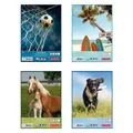 Produktbild: Herlitz Zeichenblock DIN A4, 100 g/qm, 20 Blatt (A4, Blanko) (494419)