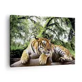 Produktbild: Bilder auf Leinwand Tiger Dschungel Ruhe Leinwandbild mit Rahmen 70x50cm Wandbilder Dekoration Wohnzimmer Schlafzimmer Küche Deko Klein Wanddeko Bild Wand Kunstdruck Art Wall Decor Canvas AA70x50-4166