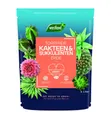 Produktbild: Westland Pflanzerde Westland Kakteen Sukkulenten Erde torffrei 4 L, Torffrei