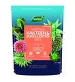 Produktbild: Westland Kakteen Sukkulenten Erde torffrei 4 L  Universalerde