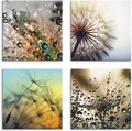 Produktbild: Artland Leinwandbild Pusteblume,Nahaufnahme Löwenzahn, Blumen (4 St), 4er Set, verschiedene Größen