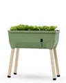 Produktbild: GUSTA GARDEN Sammy Salad Hochbeet Dunkelgrün - Hochbeet Balkon & Garten - für Salat Anbau - mit Bewässerungssystem - 15L Wassertank & 40L Erdvolumen