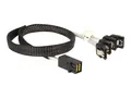 Produktbild: Delock SATA- / SAS-Kabel - SAS 6Gbit/s - 4-Lane - 4x Mini SAS HD (SFF-8643)