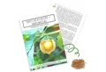 Produktbild: HappySeed Blumensamen Physalis / Kapstachelbeere Samen - Physalis peruviana, Obst