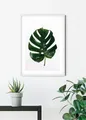 Produktbild: Komar Bild Monstera Leaf, Blätter, Pflanzen (1 St), Wandbild zur Dekoration - ohne Rahmen