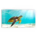 Produktbild: DEQORI Küchenrückwand Glas | Motiv Schildkröte unter Wasser | 80x40 cm | Bad- oder Herd-Rückwand | Herdblende Spritzschutz für Küche & Badezimmer | moderne Deko für Fliesenspiegel
