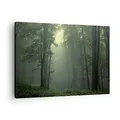 Produktbild: Bilder auf Leinwand Wald Nebel Baum Leinwandbild mit Rahmen 70x50cm Wandbilder Dekoration Wohnzimmer Schlafzimmer Küche Deko Klein Wanddeko Bild Wand Kunstdruck Art Wall Decor Canvas AA70x50-3543