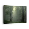 Produktbild: Wandbilder 70x50cm Leinwandbild Wald Nebel Baum Klein Bilder Art Wanddeko
