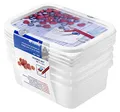 Produktbild: Rotho Domino 4er Set Gefrierdosen 0.5l mit beschreibbarem Motiv auf dem Deckel, Kunststoff (PP) BPA-frei, weiss, 4 x 0.5l (15.7 x 11.8 x 10.5 cm)