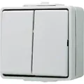 Produktbild: Jung Komplett Doppel-Schalter WG 600 Grau 605W 1St.