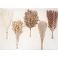 Produktbild: 110 Stück Getrocknete Pampasgras-Deko im Boho-Stil für Elegante Raumgestaltung