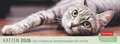 Produktbild: Katzen Premium-Tischplaner 2026 - Der literarische Wochenkalender mit Zitaten