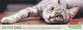 Produktbild: Katzen Premium-Tischplaner 2026 - Der literarische Wochenkalender mit Zitaten