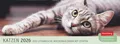 Produktbild: Harenberg Katzen Premium-Tischplaner 2026  Tischkalender 3310235