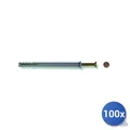 Produktbild: Fischer Tassello Mit Schraube Nylon Grau N-S Vorfixiert 8x100 E-100 mm 100x