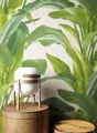 Produktbild: Newroom Vliestapete, Grün Tapete Floral Blumen - Blumentapete Blätter Creme Tropisch Modern Blätter Dschungel für Wohnzimmer Schlafzimmer Küche, Blumentapete, Blätter