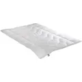 Produktbild: Irisette Sale Kunstfaserbettdecke Lotte, Füllung: Markenhohlfaser irisette® Fill - 100% Polyester, Bezug: weich und soft, gute Feuchtigkeitsableitung, produziert in Deutschland weiß 200 cm x 200 cm
