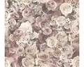 Produktbild: Vliestapete 32722-2 Rosen rosa creme