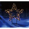 Produktbild: Trendline Led Stecker Stern Ø 60 X 80 Cm Warmweiß Gartenstecker