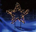 Produktbild: Trend Line Gartenstecker TrendLine LED Stecker Stern Ø 60 x 80 cm warmweiß